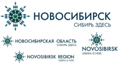 Региональная площадка «Вернадский – Новосибирская область»